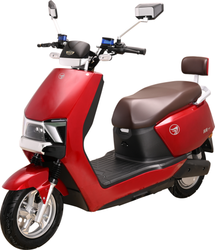 T11